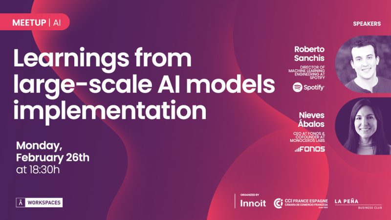 Learnings from large-scale AI models implementation